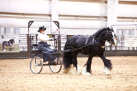 KSB15498