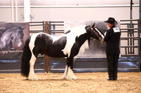 KSB17303
