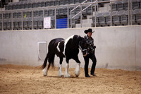KSB17284