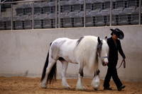 KSB17295