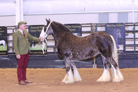 KSB_0390