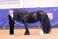 KSB_0392