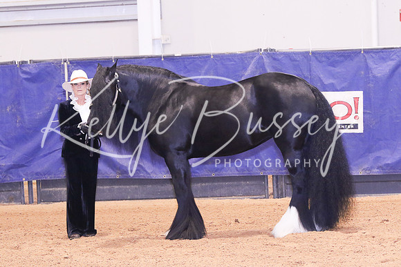 KSB_0392