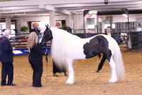 KSB_0393