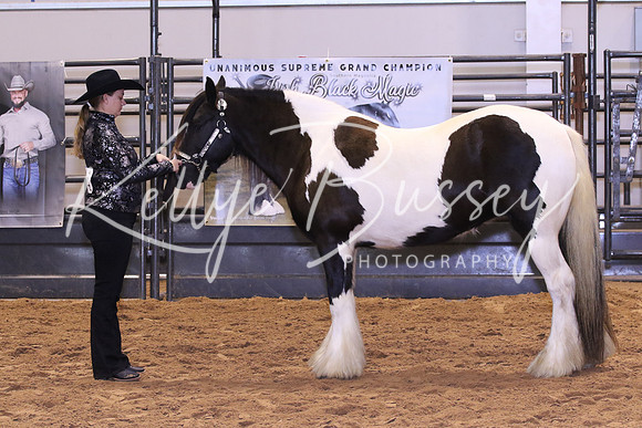 KSB_0429
