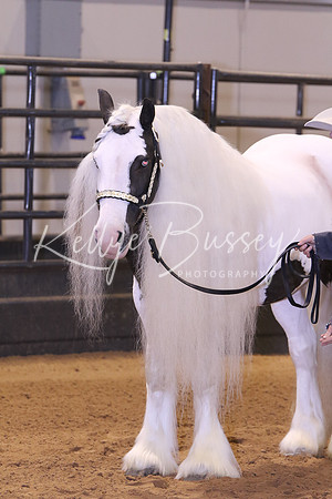 KSB_0460