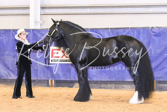 KSB_0455