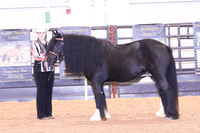 KSB_0383