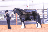 KSB_0373