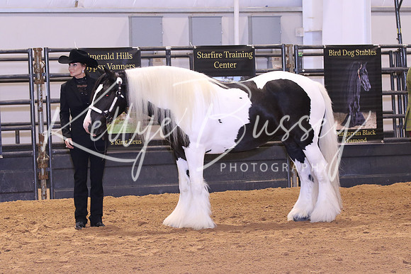KSB_0448