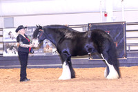 KSB_0374