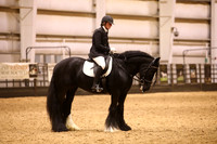 KSB11135