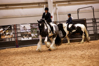 KSB11113