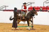 17. Donkey Mule - Trail