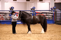 KSB16870