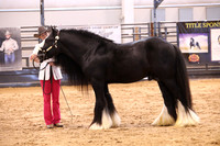 KSB16857
