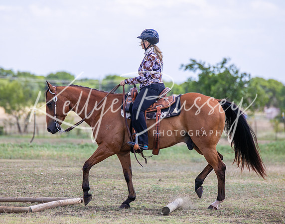 KB2_4019