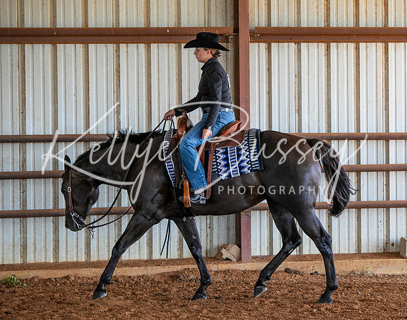 KB2_3954
