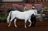 128 Section B, 5 & Over Brood Mares
