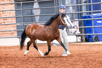 KSB_8038