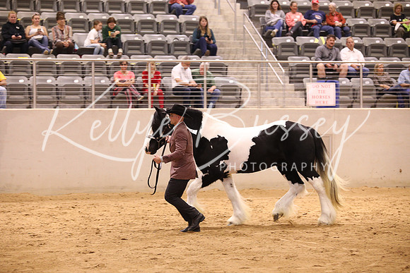 KSB16481