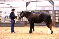 KSB16484