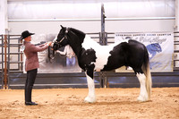 KSB16474