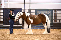 KSB11196