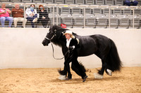 KSB11228