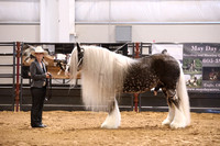 KSB11197