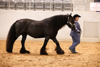 KSB11484