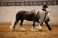 KSB11487