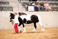 KSB11482