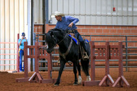 AN1O3202