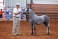 KSB_8200