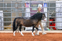 KSB_8197