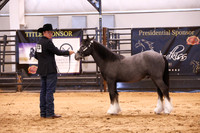 KSB16449