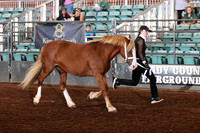 154 GCH and Rs Sect D