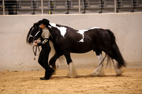 KSB17190