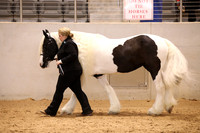 KSB17189