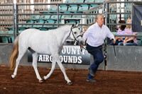 175 Half-Welsh/PartBred GCH and Rs