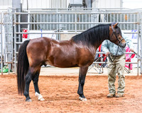 KSB_8561