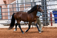 KSB_8569
