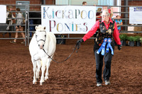 131 Senior CH and Rs Section A Mare