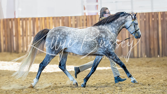 KB2_6154-Edit