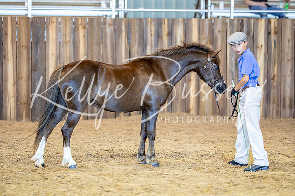 KB2_5339
