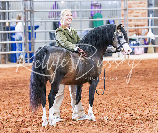 KSB_8209-Edit-Edit