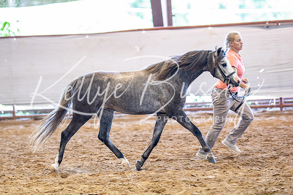 KB2_5427