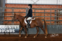 253B Hunt Seat Eq on the Flat 13 - 17