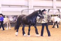 KSB_0616